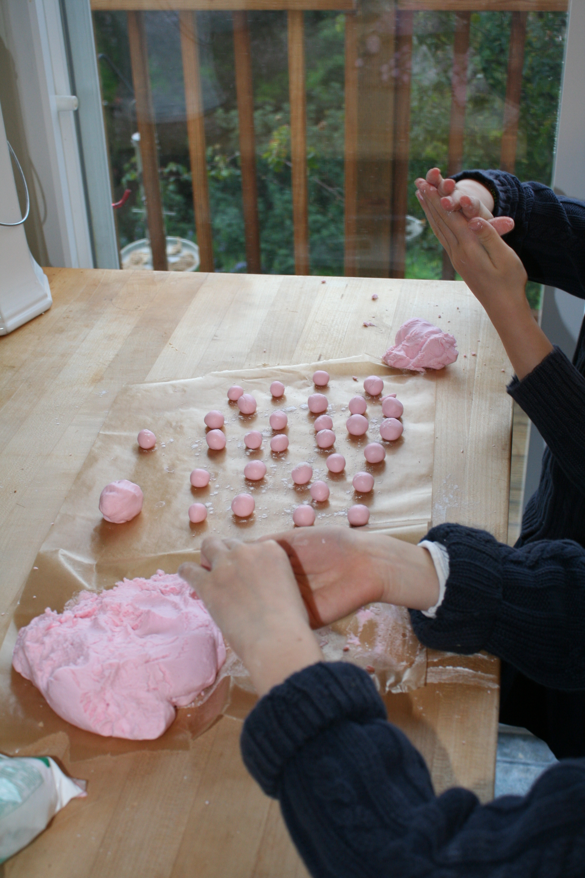 Weise-2010-02-19-5545